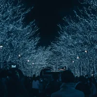 【2025年最新】都内イルミネーション完全ガイド｜人気スポット10選と見どころ