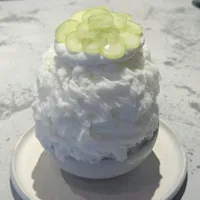 東京のかき氷おすすめランキングTOP15｜ふわふわ専門店から映えスポットまで完全ガイド