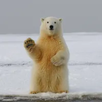 【休日プラン】都内で癒される動物カフェ7選｜猫・鳥・ヤギとふれあえる人気スポット特集