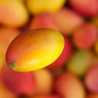 スタバ「FRUITY CHEERS TORORI」がセブン‐イレブン限定で6月16日発売｜全2種の味・価格・"フルーツ×ティー×ミルク"の新感覚を徹底ガイド
