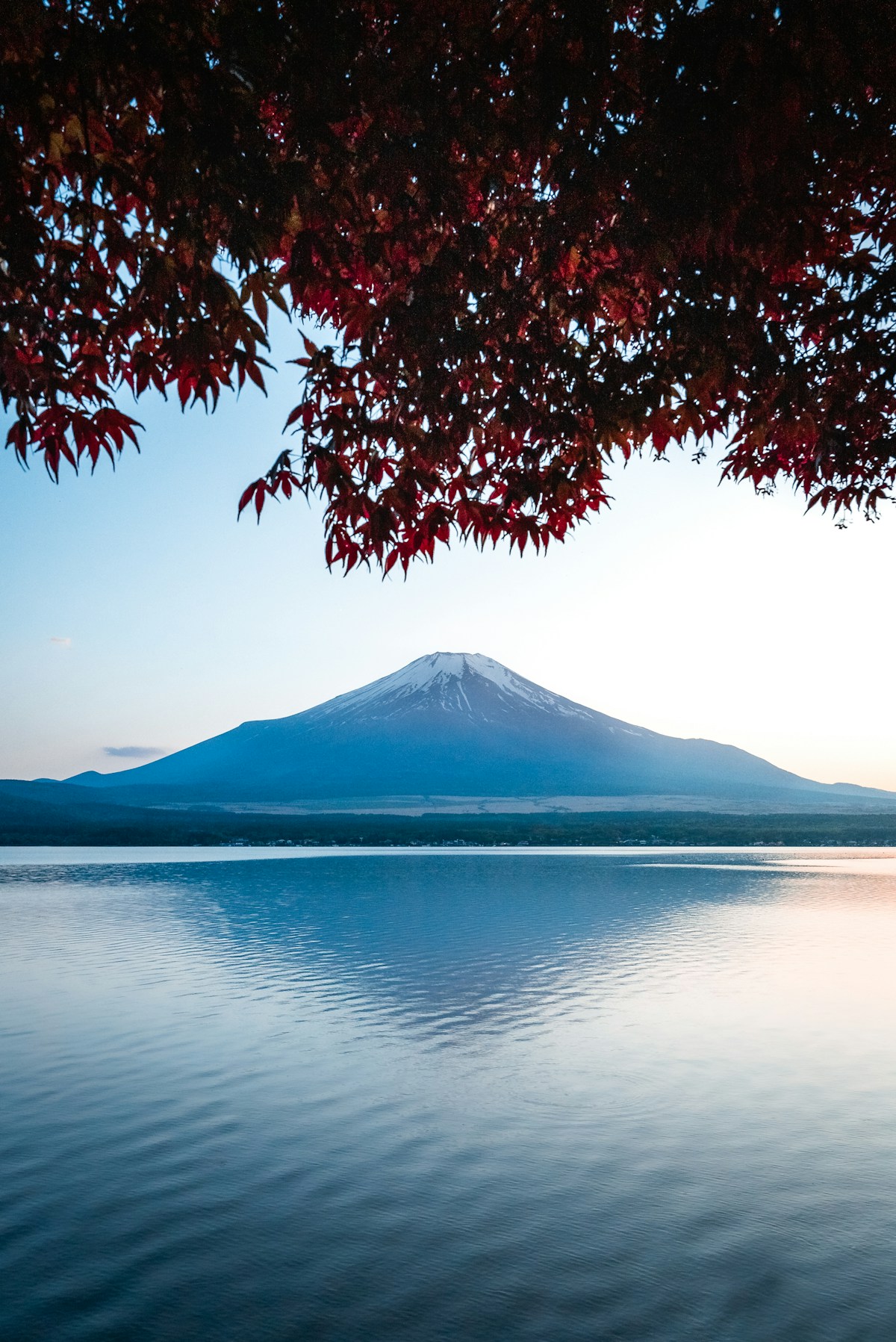 紅葉旅行、宿の予約はいつまでに動くべき？早割プランの仕組み