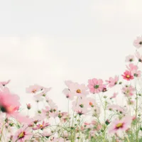 【2026年春】スタバ新作おすすめメニューまとめ｜桜・シュークリーム・いちごの全ドリンクを徹底紹介