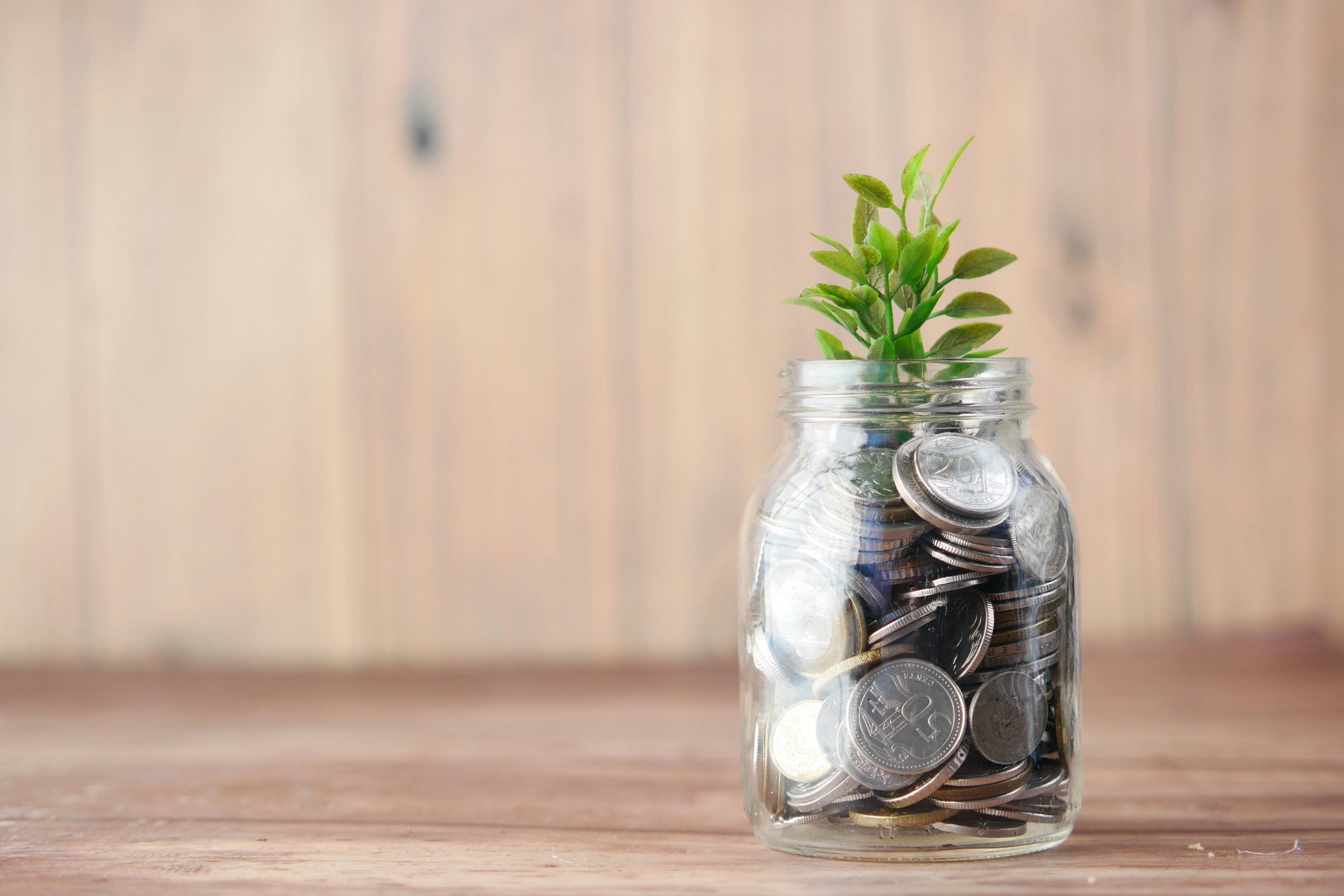 コストコの年会費5,280円を節約する方法!話題の優待制度とは?