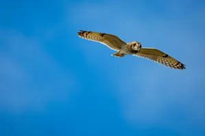 旅行好き必見！時差ぼけを最小限に抑える5つの方法