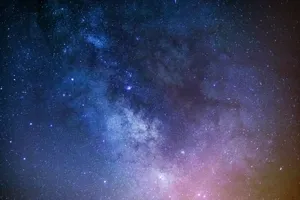 カフェの新次元：世界最大のカフェで過ごすユニークな一日