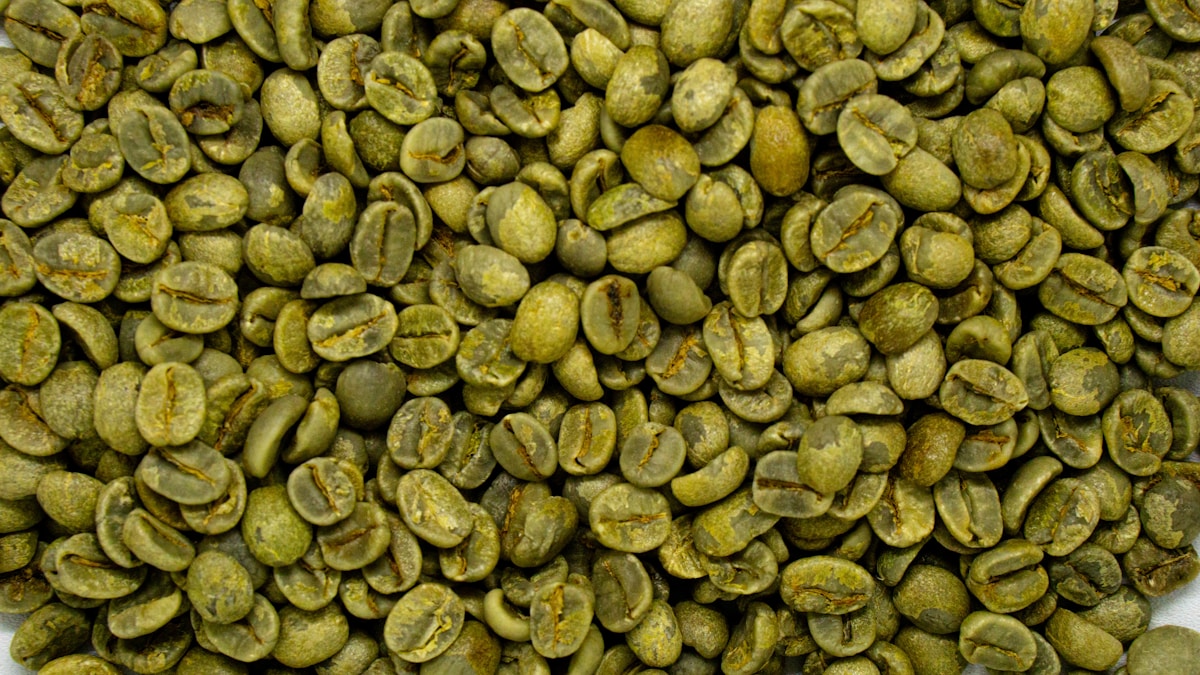 コーヒー生豆の輸入先ランキング｜4割はブラジル、25年前は6位だったベトナムが2位に