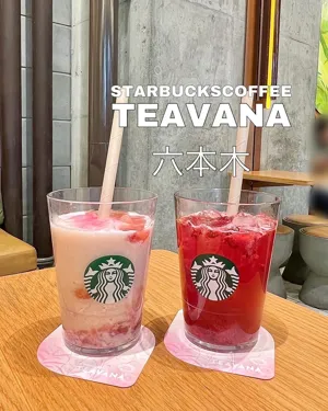スターバックス・コーヒー 六本木ヒルズ メトロハット・ハリウッドプラザ店