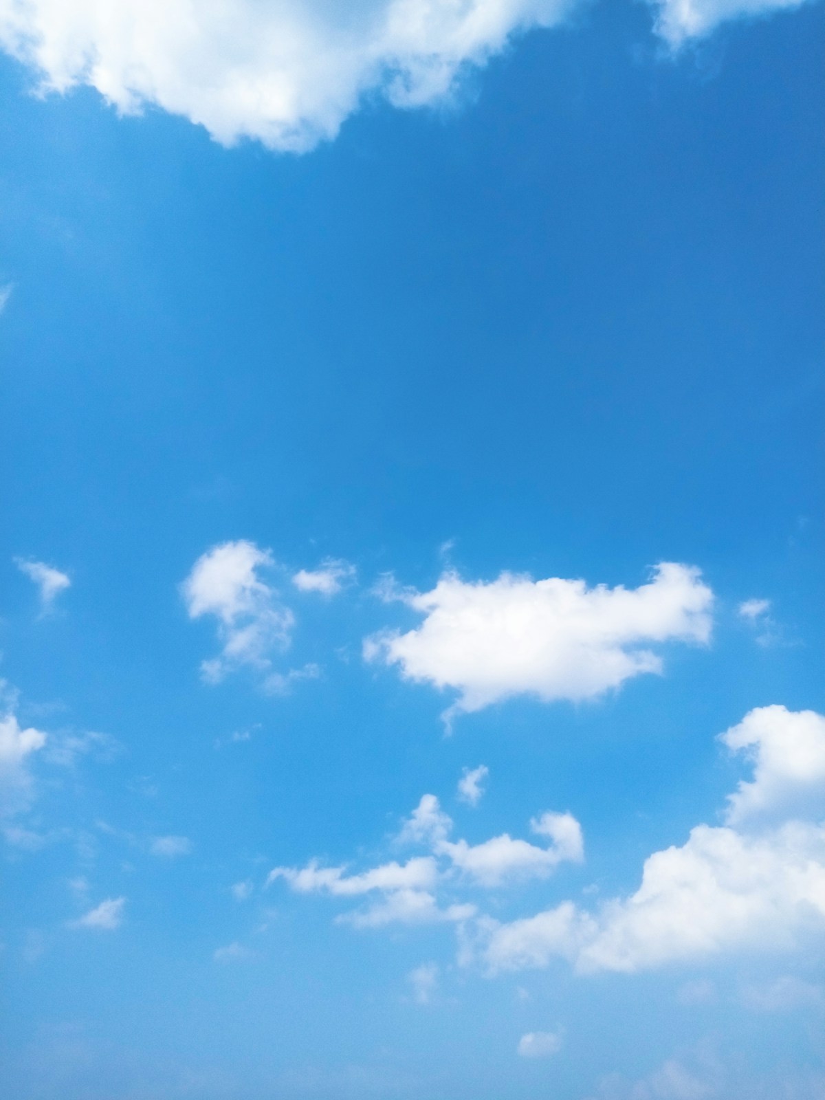 秋の空はなぜ高く見えるのか｜「天高く馬肥ゆる秋」を気象学で解く
