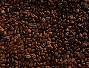 【2026年完全版】コーヒー豆の産地別フレーバーガイド|エチオピア・ブラジル・コロンビア・グアテマラの味の違いを解説