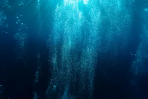 海面下のカフェ体験：最も標高の低いカフェで味わう特別なひととき