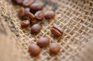 美ら豆珈琲の画像