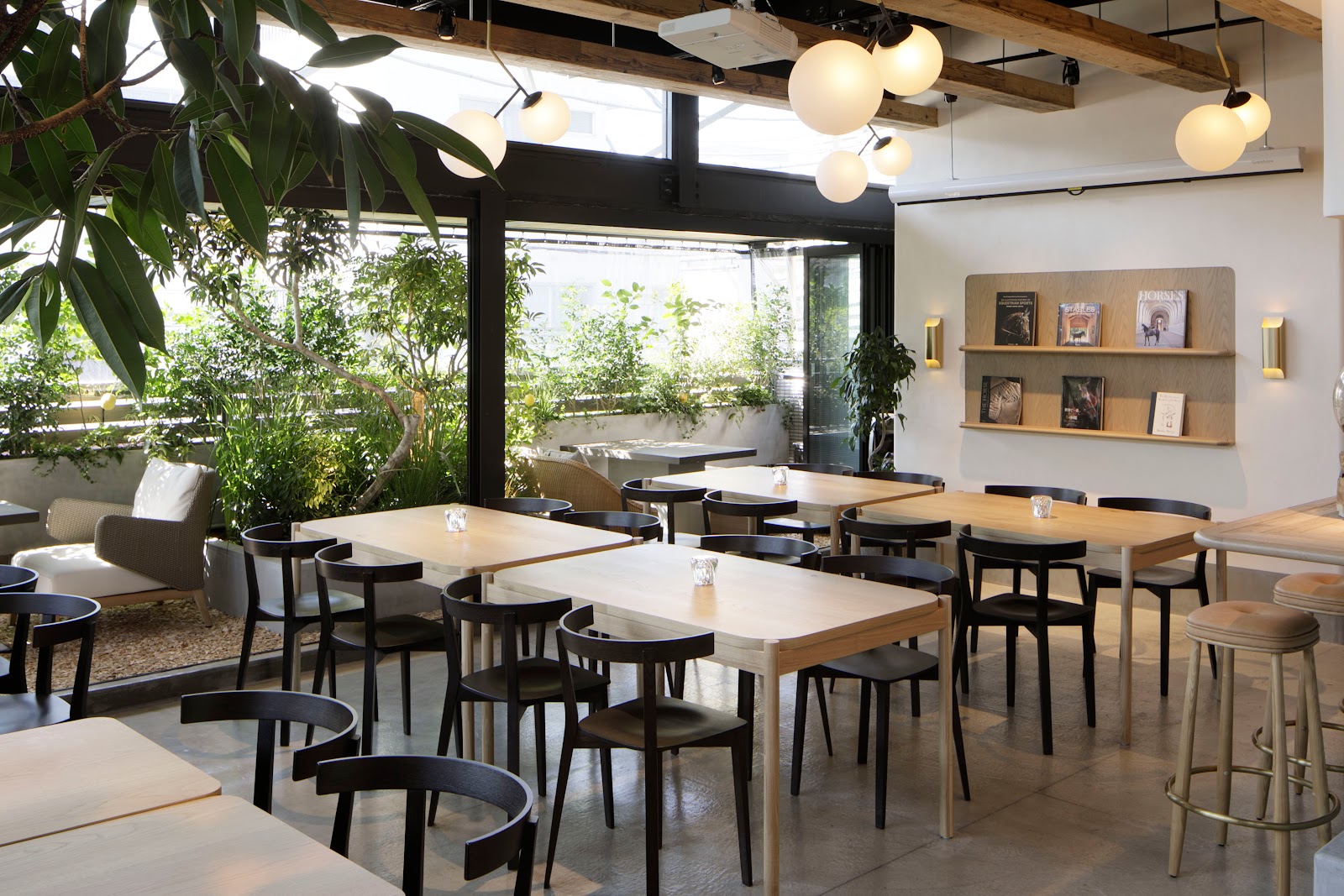 BafunYasai TCC CAFEの画像