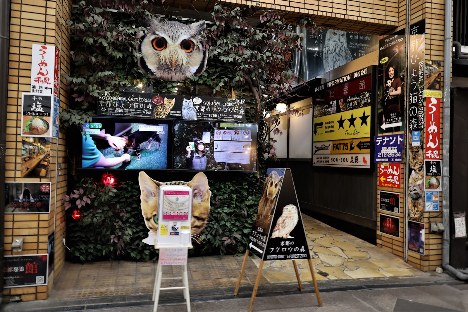 京都ひょう猫の森の画像