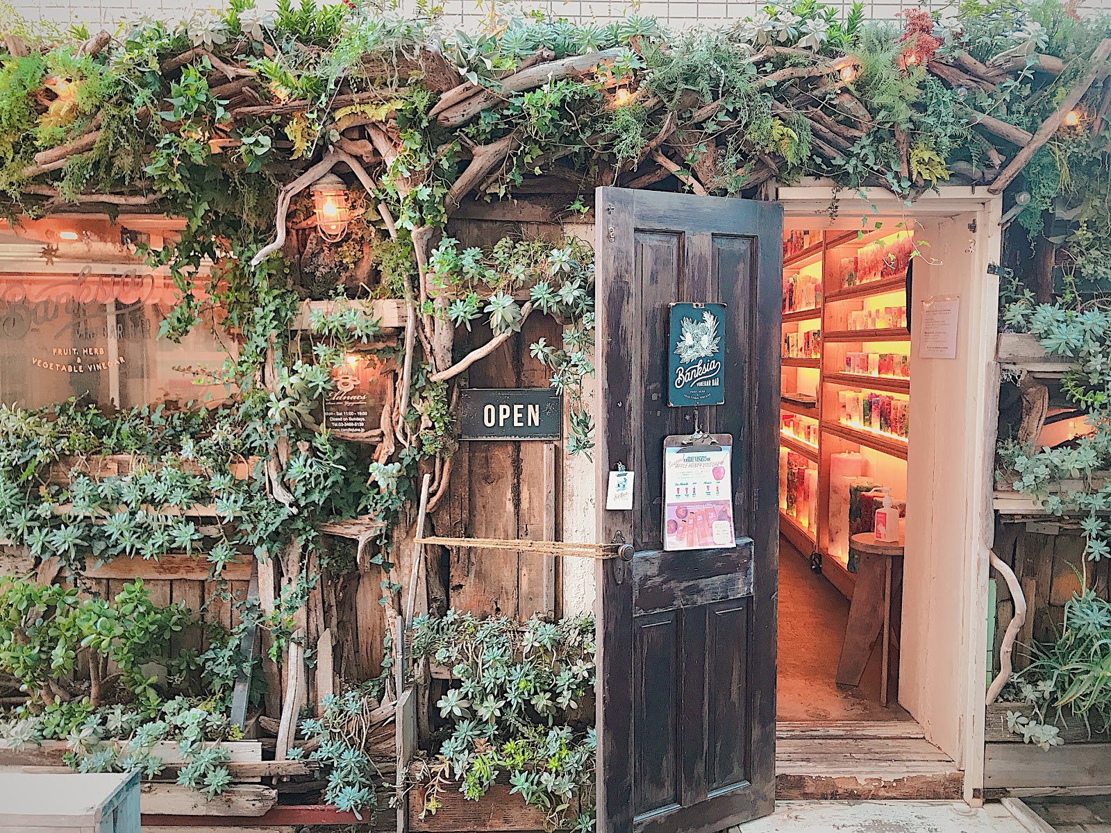 Vinegar Bar Banksiaの画像