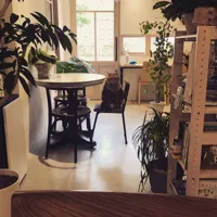泰風佳日の画像