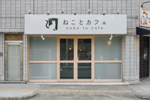 ねことカフェ大阪天王寺店の画像