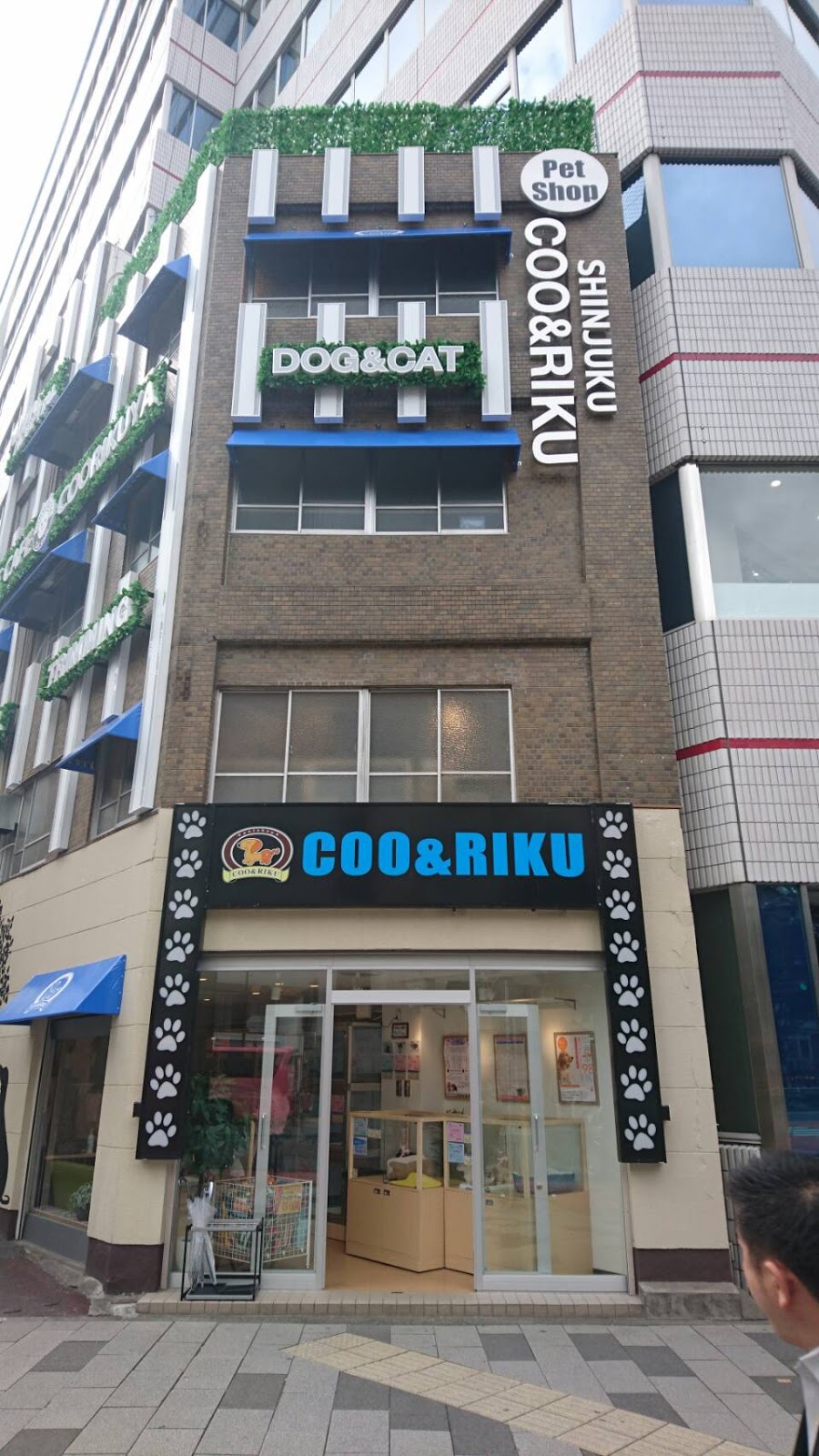 猫カフェ 空陸家 新宿三丁目店の画像