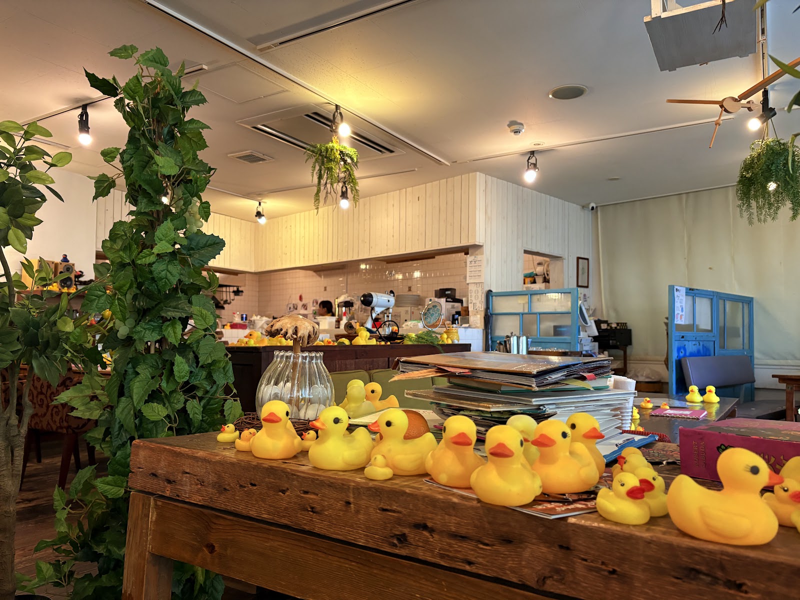パンプルムゥス 仙台店の画像