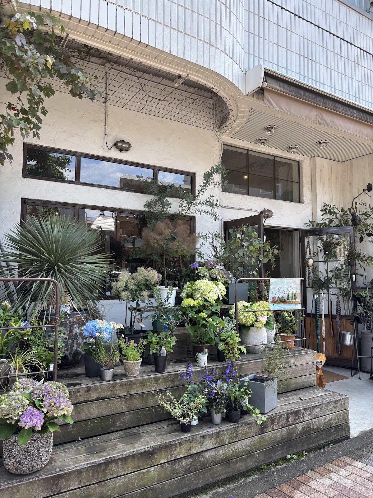 Tokyo gardenの画像
