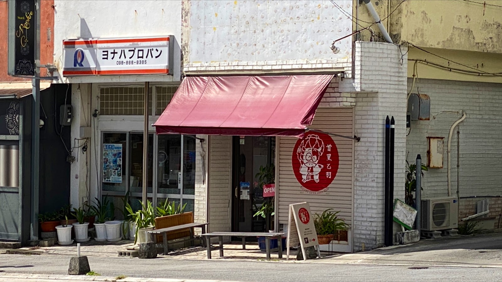首里乙羽 (おっぱ)の画像