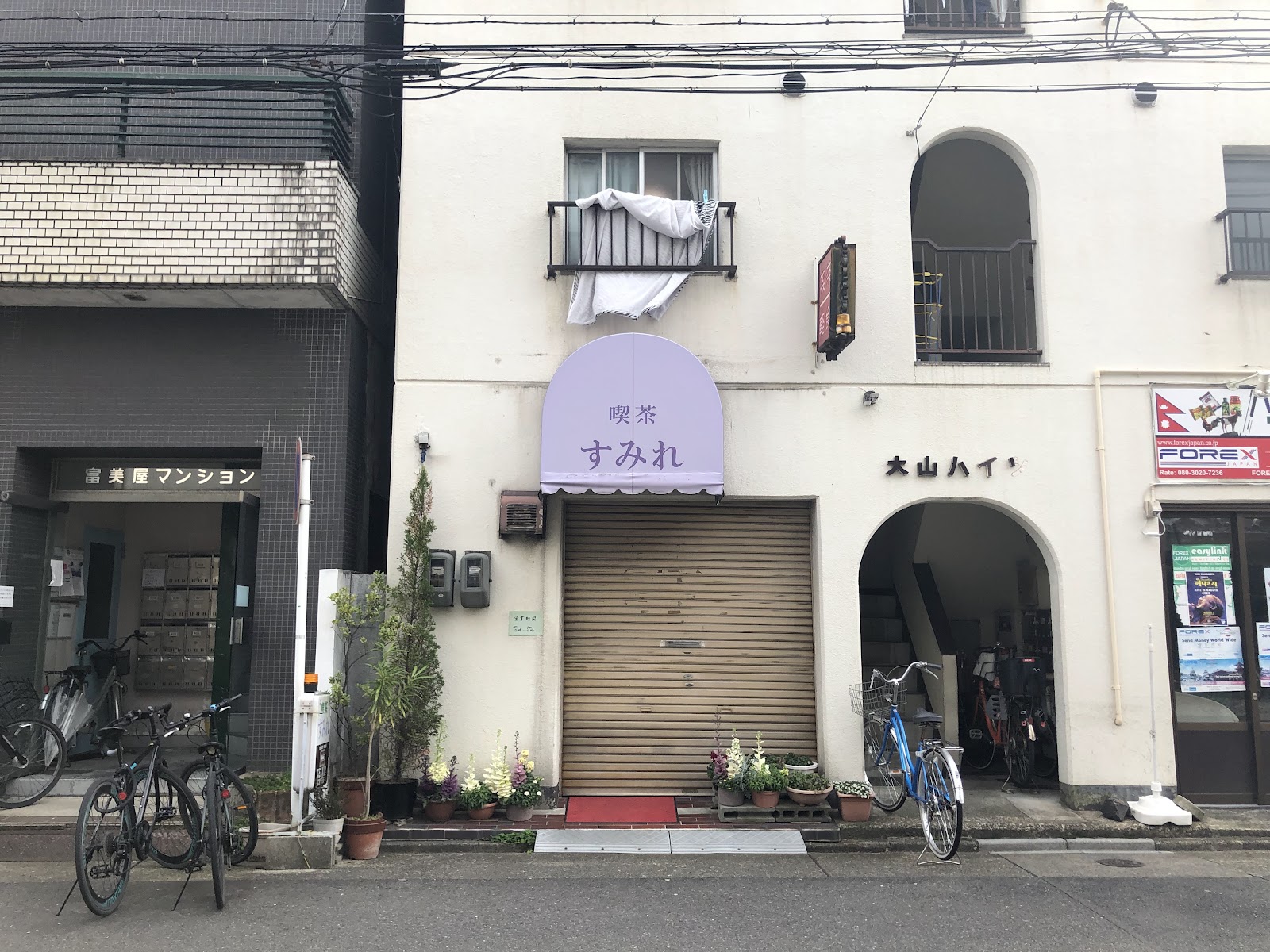 すみれの画像