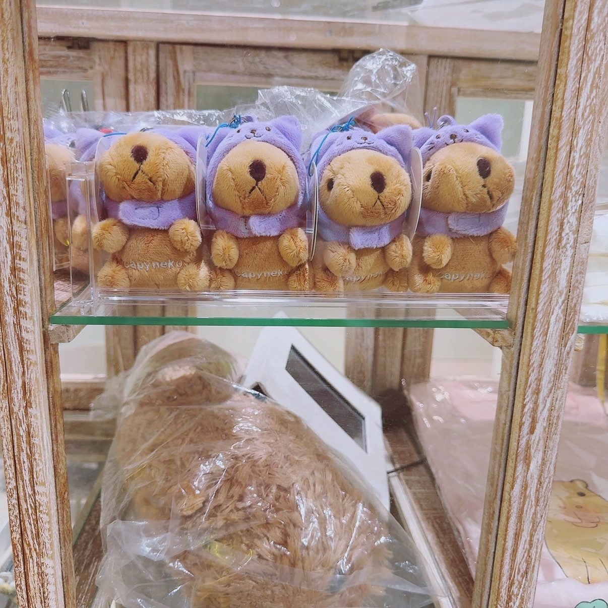 capybara cafe TOKYO &cat capyneko cafeカピねこカフェ吉祥寺の画像