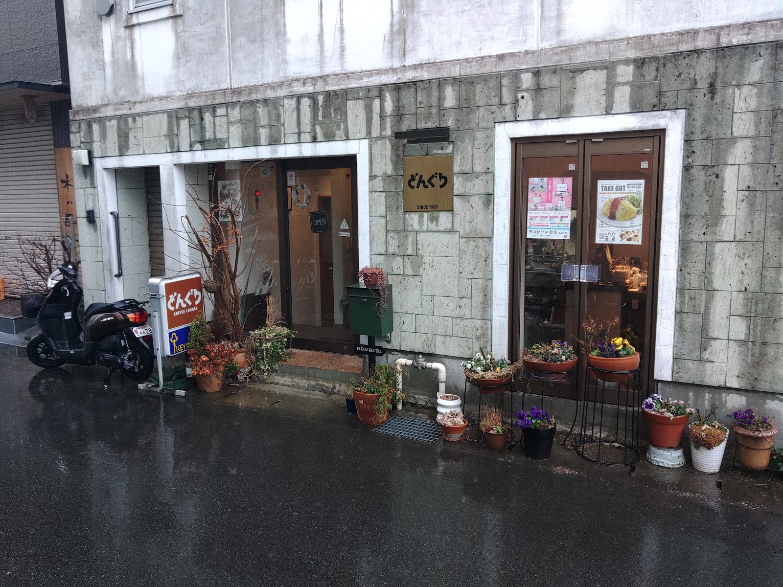 どんぐりの画像