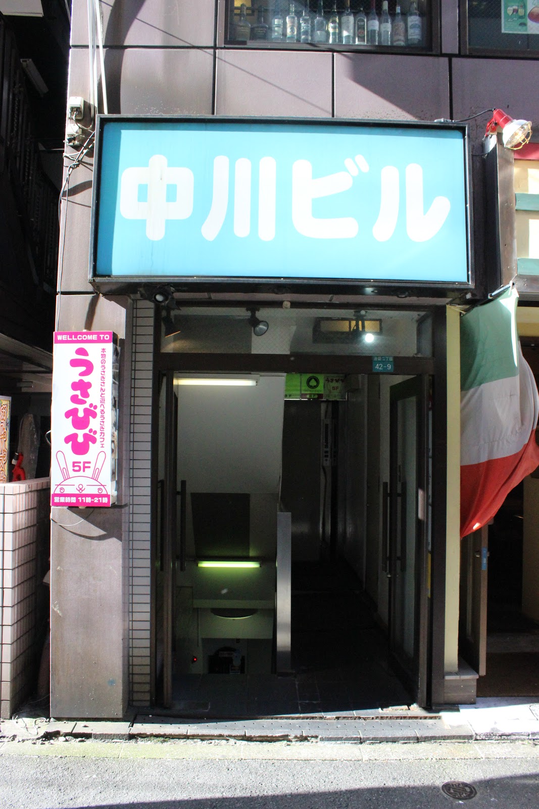 うさぎカフェうさびびの画像