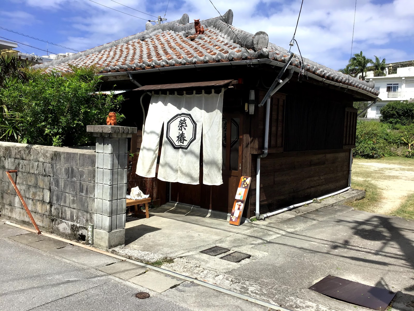 滎椿の画像