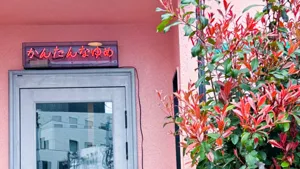 かんたんなゆめの画像